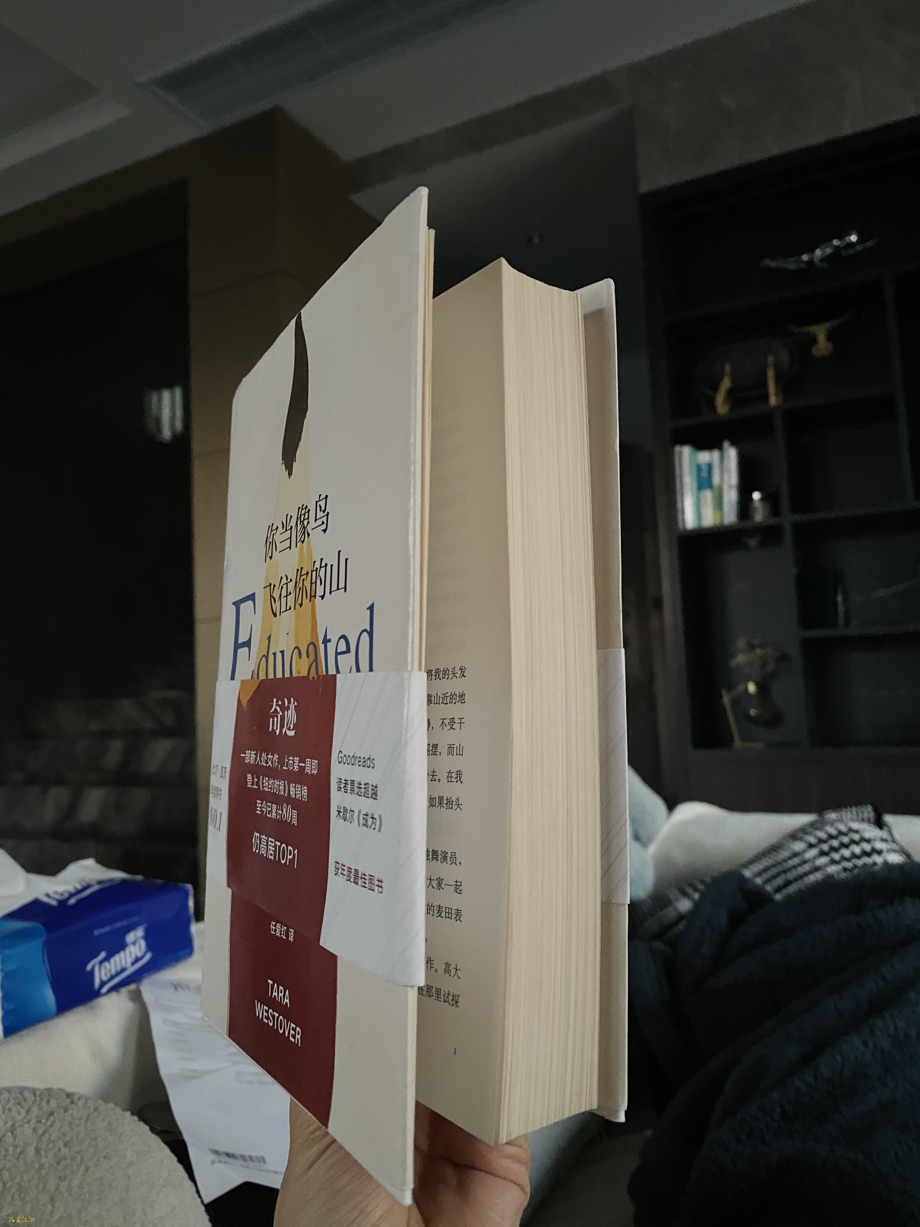 IMG_6909.jpeg
